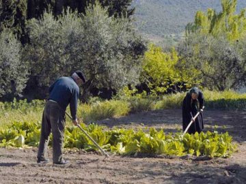 agriturismo in sardinie - Guthiddai in Oliena (14)